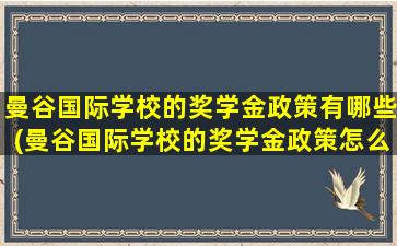 曼谷国际学校的奖学金政策有哪些(曼谷国际学校的奖学金政策怎么样)