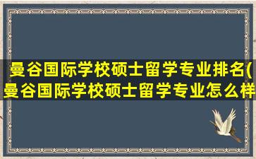 曼谷国际学校硕士留学专业排名(曼谷国际学校硕士留学专业怎么样)