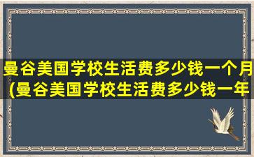 曼谷美国学校生活费多少钱一个月(曼谷美国学校生活费多少钱一年)