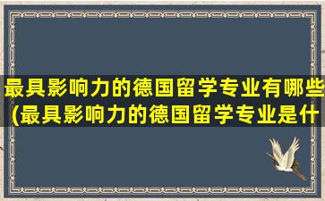 最具影响力的德国留学专业有哪些(最具影响力的德国留学专业是什么)