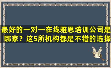 最好的一对一在线雅思培训公司是哪家？这5所机构都是不错的选择！