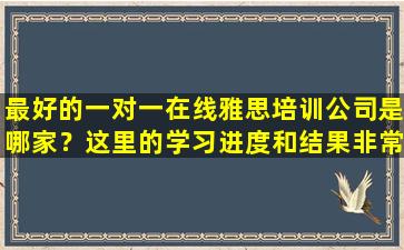 最好的一对一在线雅思培训公司是哪家？这里的学习进度和结果非常可靠！