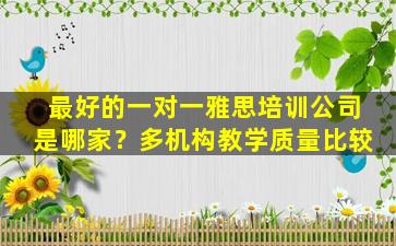 最好的一对一雅思培训公司是哪家？多机构教学质量比较