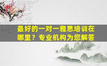 最好的一对一雅思培训在哪里？专业机构为您解答