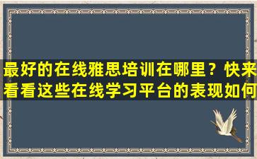 最好的在线雅思培训在哪里？快来看看这些在线学习平台的表现如何！