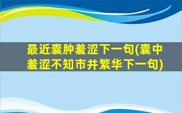 最近囊肿羞涩下一句(囊中羞涩不知市井繁华下一句)