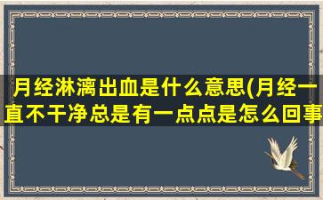 月经淋漓出血是什么意思(月经一直不干净总是有一点点是怎么回事)