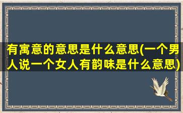 有寓意的意思是什么意思(一个男人说一个女人有韵味是什么意思)