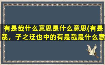 有是哉什么意思是什么意思(有是哉，子之迂也中的有是哉是什么意思)