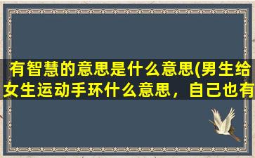 有智慧的意思是什么意思(男生给女生运动手环什么意思，自己也有一个)