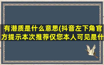 有潜质是什么意思(抖音左下角官方提示本次推荐仅您本人可见是什么意思)