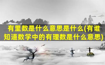 有里数是什么意思是什么(有谁知道数学中的有理数是什么意思)