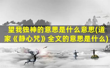 望我独神的意思是什么意思(道家《静心咒》全文的意思是什么)