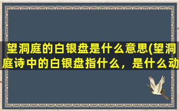 望洞庭的白银盘是什么意思(望洞庭诗中的白银盘指什么，是什么动物)