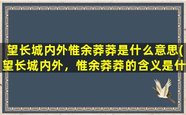 望长城内外惟余莽莽是什么意思(望长城内外，惟余莽莽的含义是什么。谢谢)