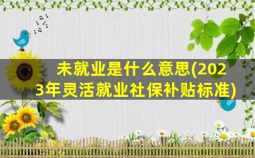 未就业是什么意思(2023年灵活就业社保补贴标准)