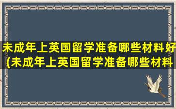 未成年上英国留学准备哪些材料好(未成年上英国留学准备哪些材料比较好)