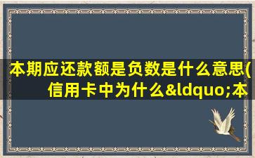 本期应还款额是负数是什么意思(信用卡中为什么“本期剩余应还金额“是负数)