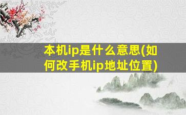 本机ip是什么意思(如何改手机ip地址位置)