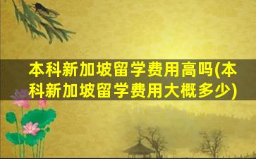 本科新加坡留学费用高吗(本科新加坡留学费用大概多少)