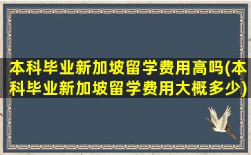 本科毕业新加坡留学费用高吗(本科毕业新加坡留学费用大概多少)