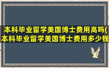 本科毕业留学美国博士费用高吗(本科毕业留学美国博士费用多少钱)