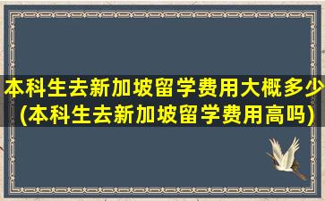 本科生去新加坡留学费用大概多少(本科生去新加坡留学费用高吗)