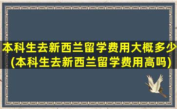 本科生去新西兰留学费用大概多少(本科生去新西兰留学费用高吗)