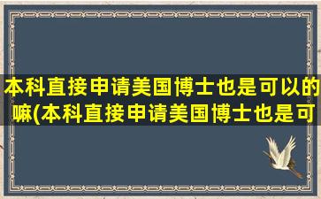 本科直接申请美国博士也是可以的嘛(本科直接申请美国博士也是可以的吗知乎)