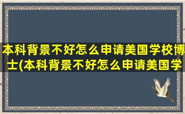 本科背景不好怎么申请美国学校博士(本科背景不好怎么申请美国学校硕士)