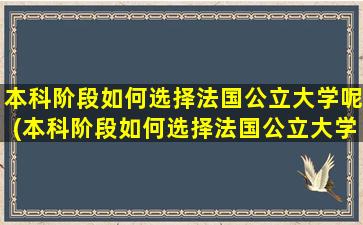 本科阶段如何选择法国公立大学呢(本科阶段如何选择法国公立大学学校)