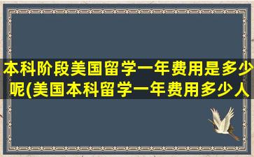 本科阶段美国留学一年费用是多少呢(美国本科留学一年费用多少人民币)