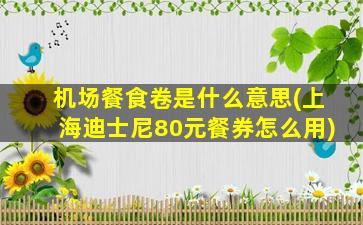 机场餐食卷是什么意思(上海迪士尼80元餐券怎么用)