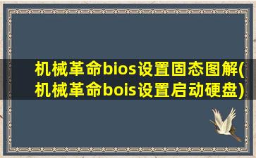 机械革命bios设置固态图解(机械革命bois设置启动硬盘)