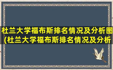 杜兰大学福布斯排名情况及分析图(杜兰大学福布斯排名情况及分析图片)