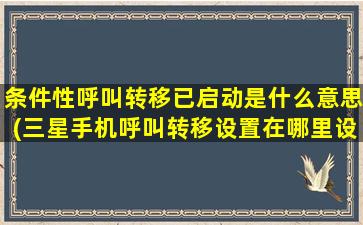 条件性呼叫转移已启动是什么意思(三星手机呼叫转移设置在哪里设置)