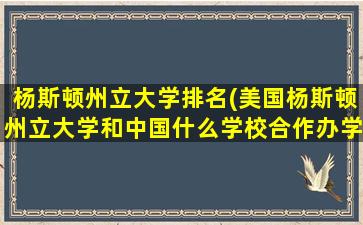 杨斯顿州立大学排名(美国杨斯顿州立大学和中国什么学校合作办学)