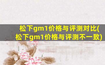 松下gm1价格与评测对比(松下gm1价格与评测不一致)