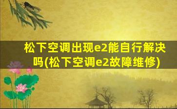 松下空调出现e2能自行解决吗(松下空调e2故障维修)