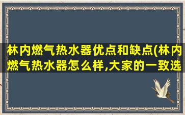 林内燃气热水器优点和缺点(林内燃气热水器怎么样,大家的一致选择!)