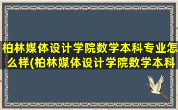 柏林媒体设计学院数学本科专业怎么样(柏林媒体设计学院数学本科专业排名)