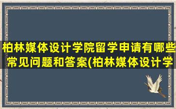 柏林媒体设计学院留学申请有哪些常见问题和答案(柏林媒体设计学院如何)