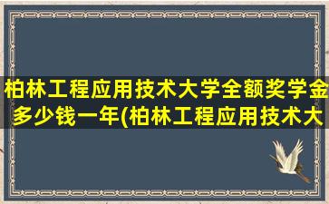 柏林工程应用技术大学全额奖学金多少钱一年(柏林工程应用技术大学全额奖学金多少钱一个月)