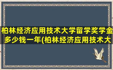 柏林经济应用技术大学留学奖学金多少钱一年(柏林经济应用技术大学留学奖学金多少钱一个月)