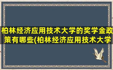 柏林经济应用技术大学的奖学金政策有哪些(柏林经济应用技术大学的奖学金政策怎么样)