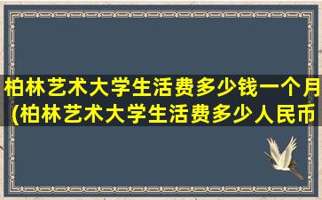 柏林艺术大学生活费多少钱一个月(柏林艺术大学生活费多少人民币)