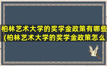 柏林艺术大学的奖学金政策有哪些(柏林艺术大学的奖学金政策怎么样)