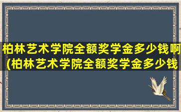 柏林艺术学院全额奖学金多少钱啊(柏林艺术学院全额奖学金多少钱一个月)