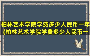 柏林艺术学院学费多少人民币一年(柏林艺术学院学费多少人民币一个月)