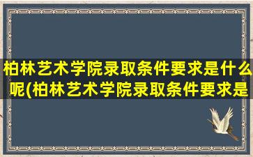 柏林艺术学院录取条件要求是什么呢(柏林艺术学院录取条件要求是什么样的)